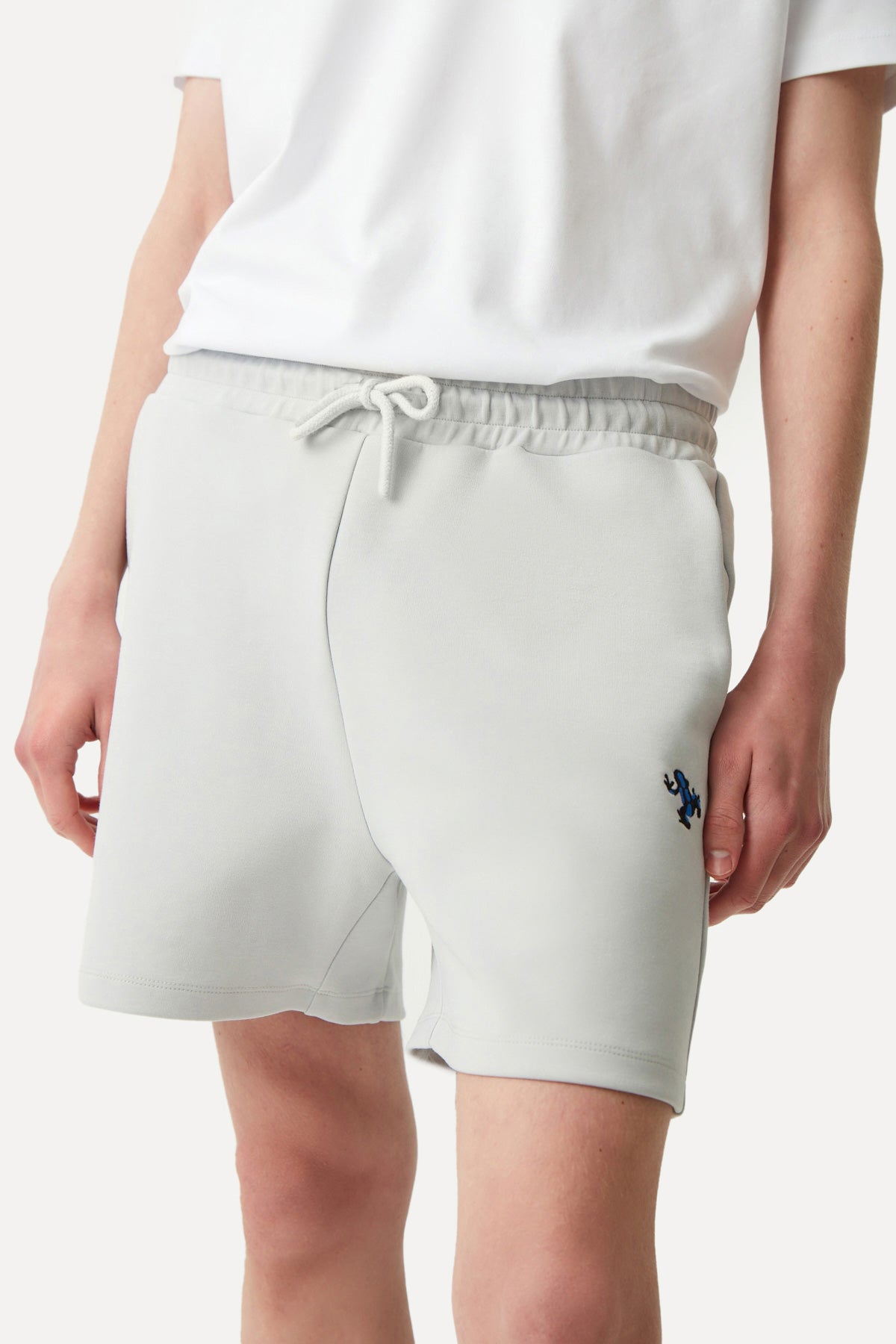 Poison Dart Frog Men's Shorts - Gray