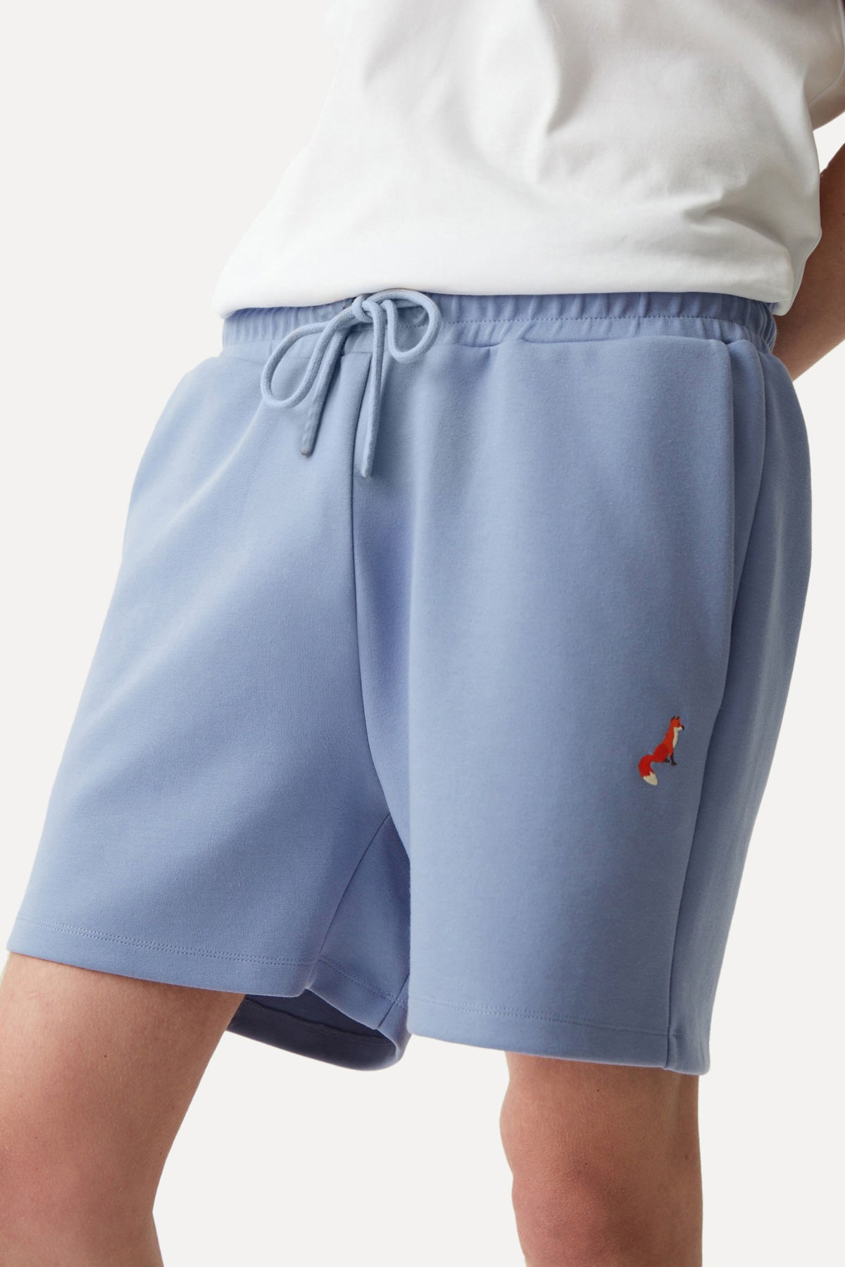 Red Fox Men's Shorts - Blue