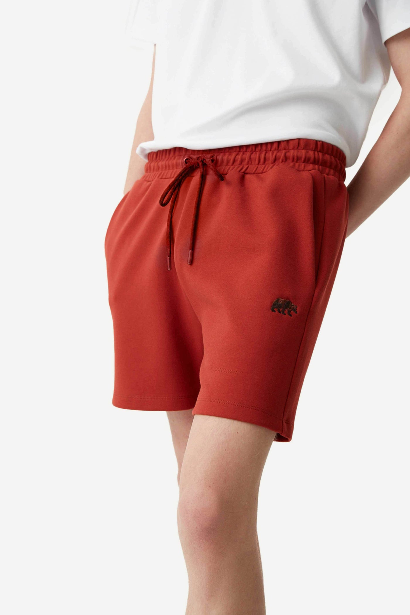 Grizzly Bear Men's Shorts - Burgundy