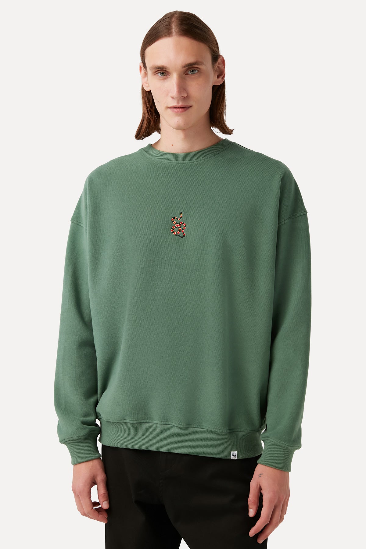 Coral Snake Sweatshirt - Green