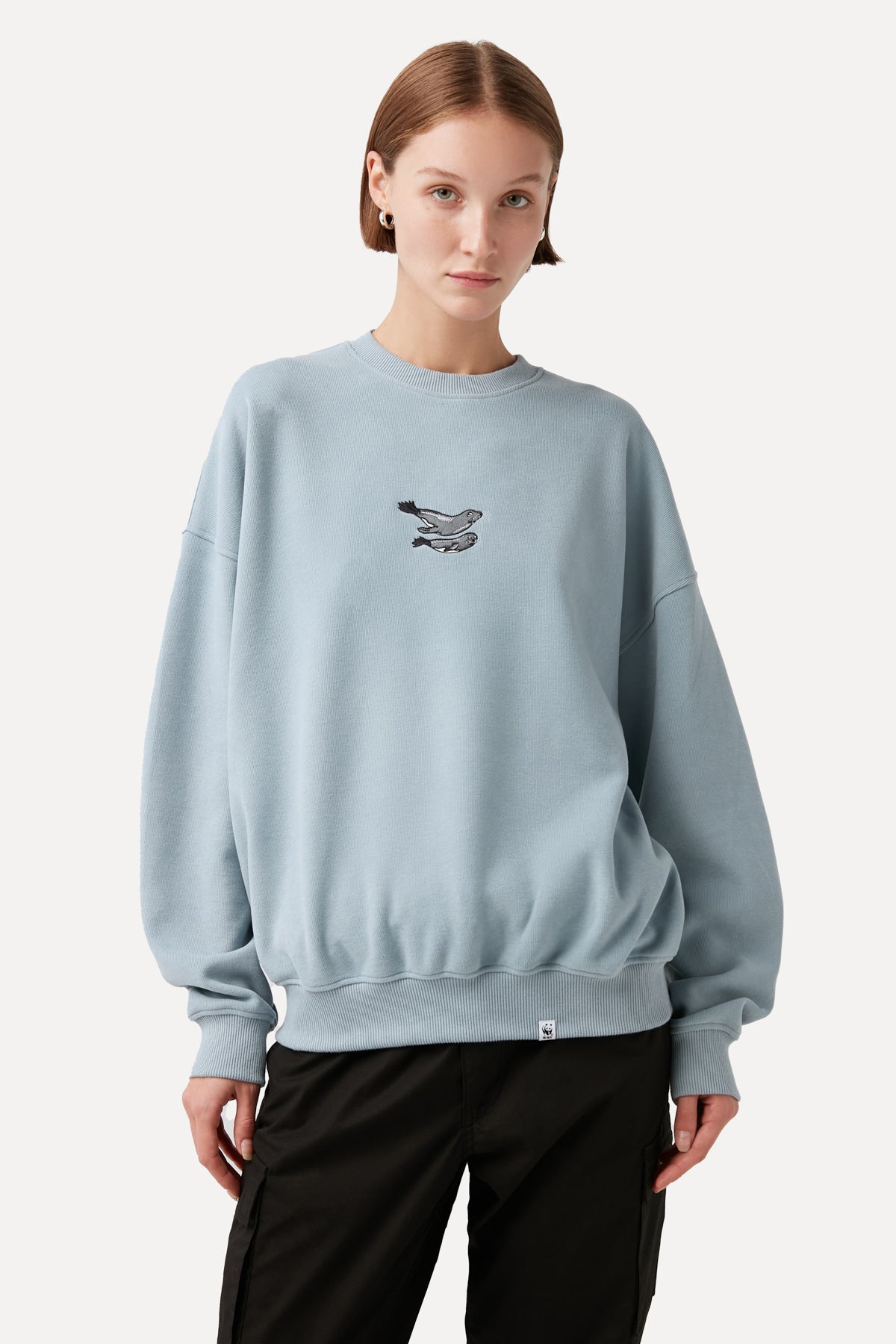 Mediterranean Monk Seal Sweatshirt - Blue