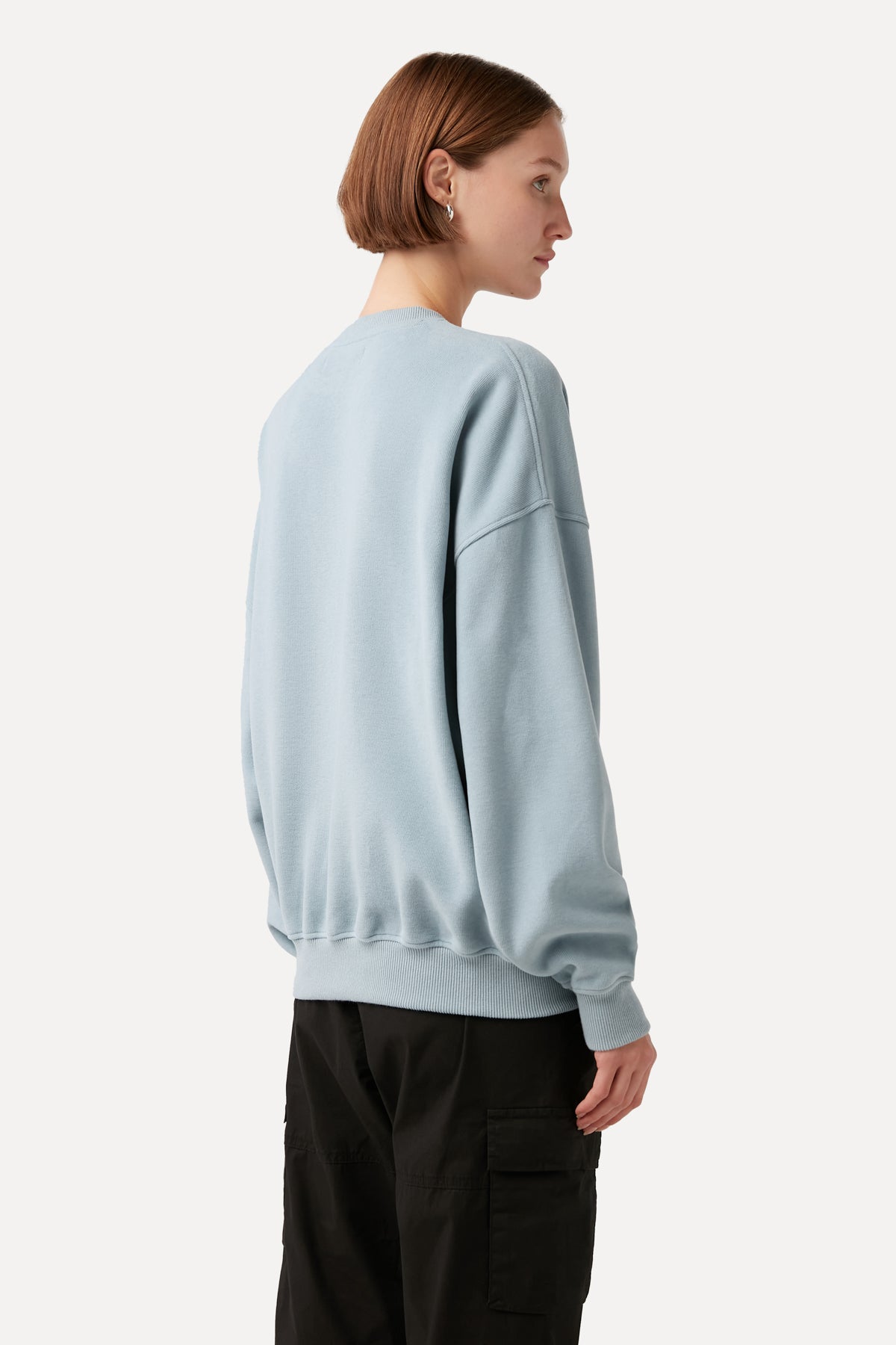 Mediterranean Monk Seal Sweatshirt - Blue