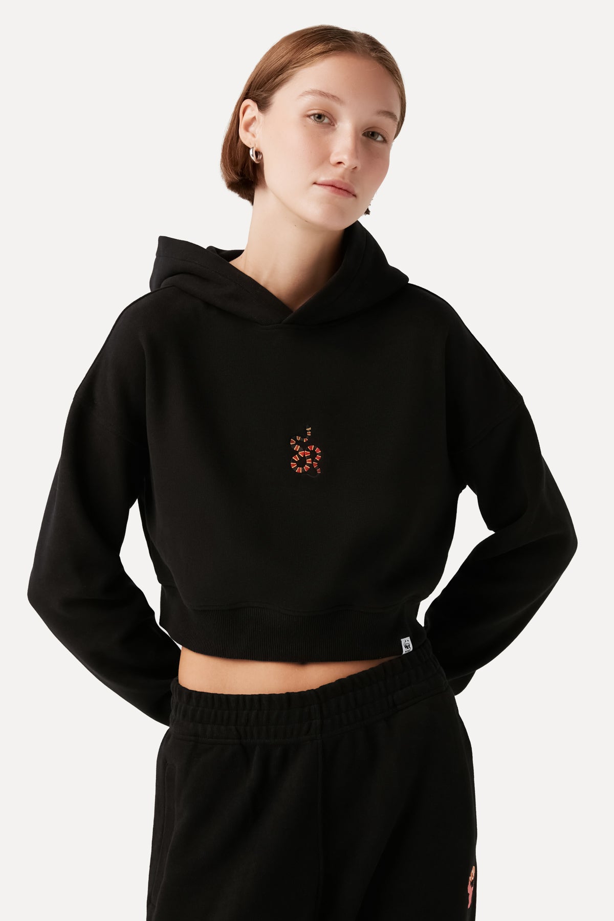 Coral Snake Crop Hoodie - Black