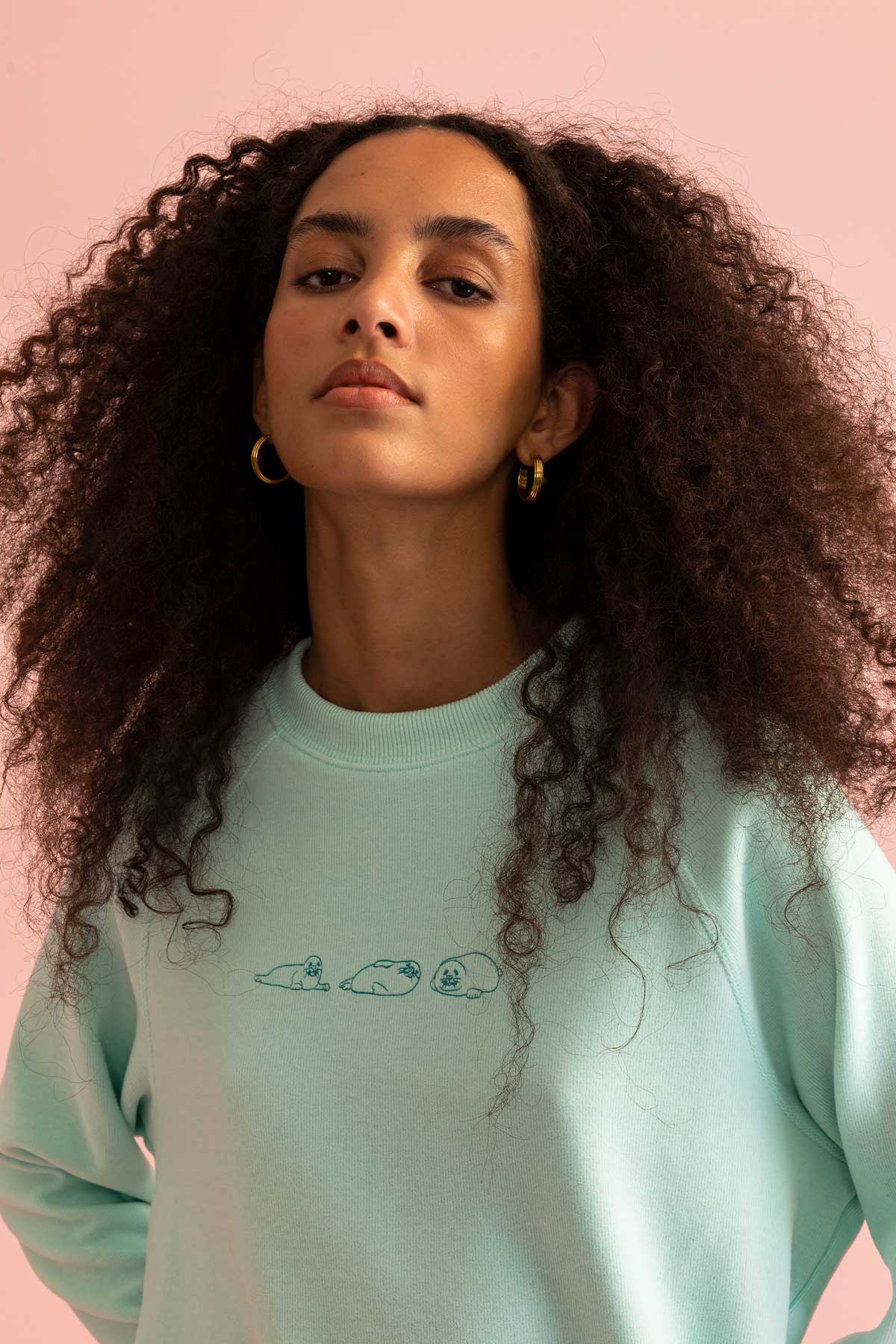 Greenland Seal Sweatshirt - Light Blue