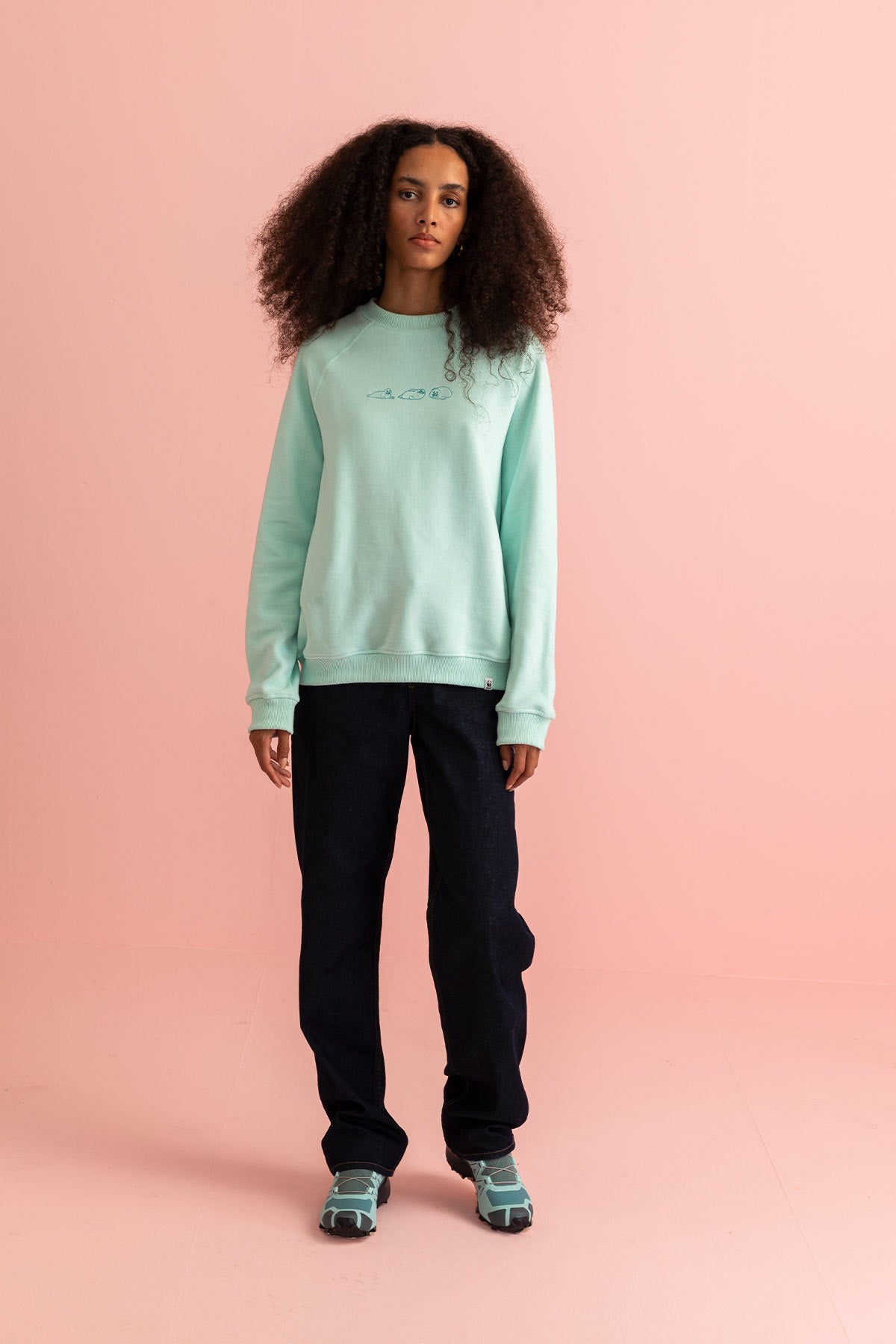 Greenland Seal Sweatshirt - Light Blue