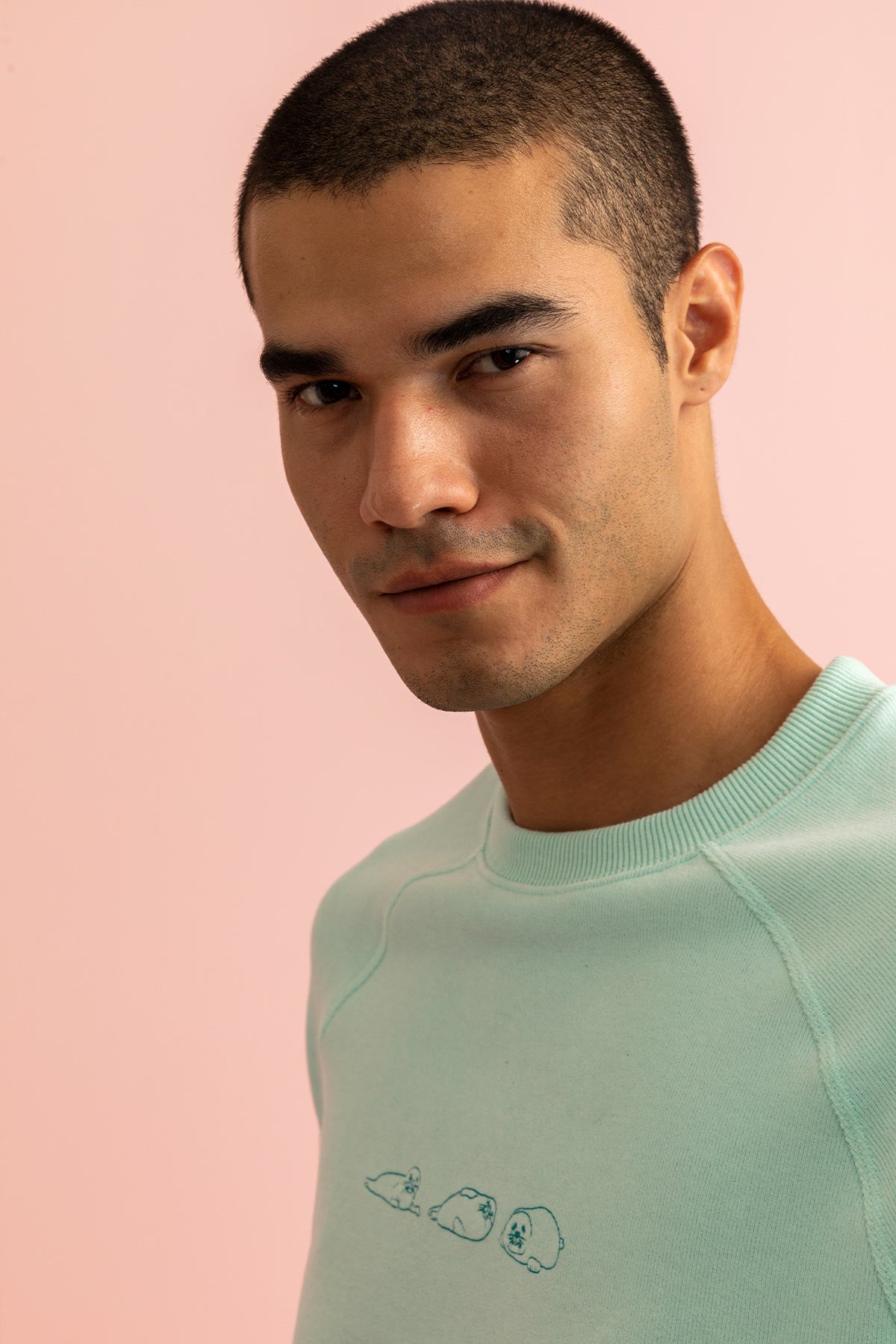 Greenland Seal Sweatshirt - Light Blue