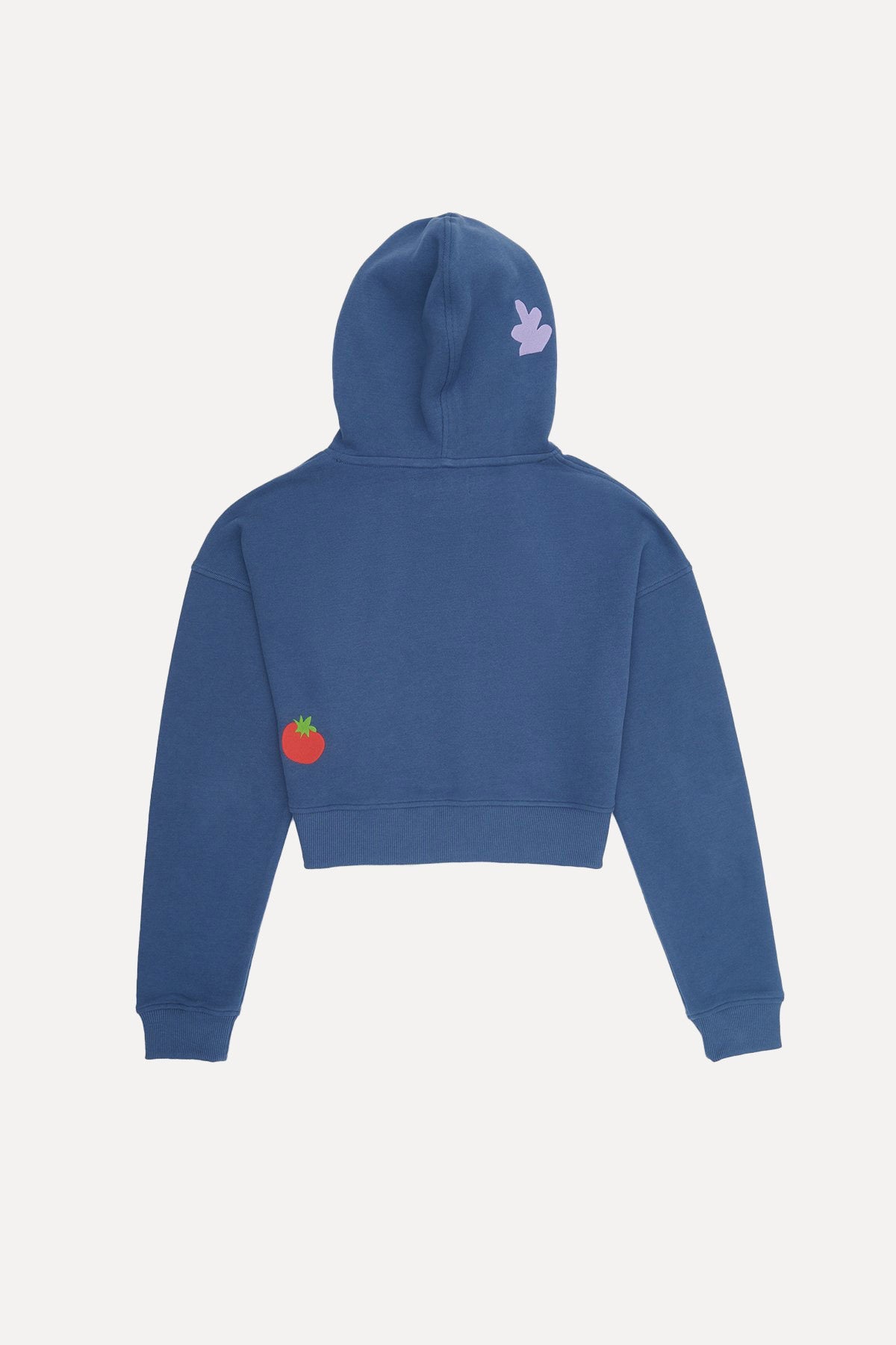 Lar Seeds Crop Hoodie - Flint Blue