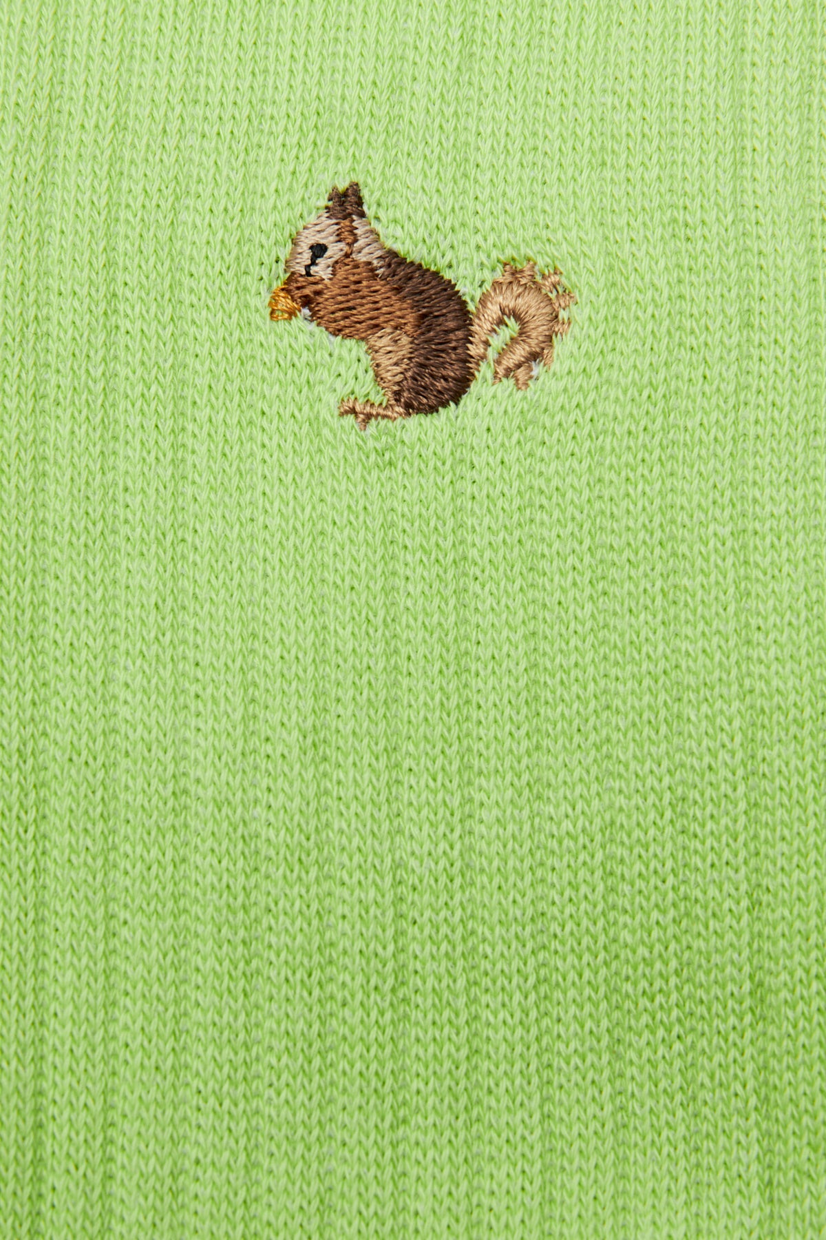 Squirrel Towel Socks - Pistachio Green