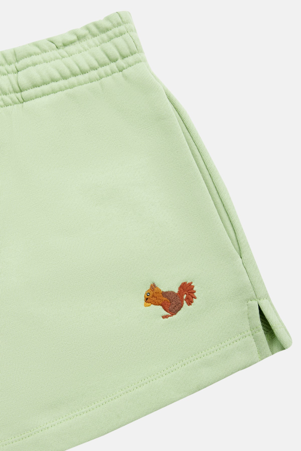 Squirrel Women's Shorts - Mint Green