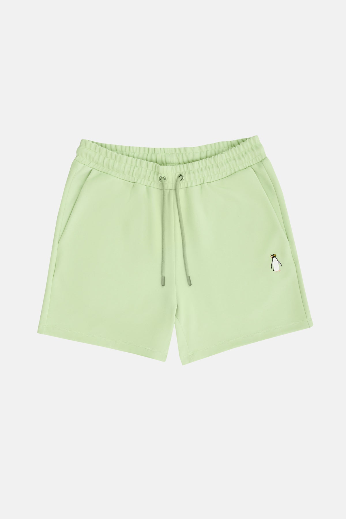 Southern Rockhopper Penguin Men's Shorts - Mint Green