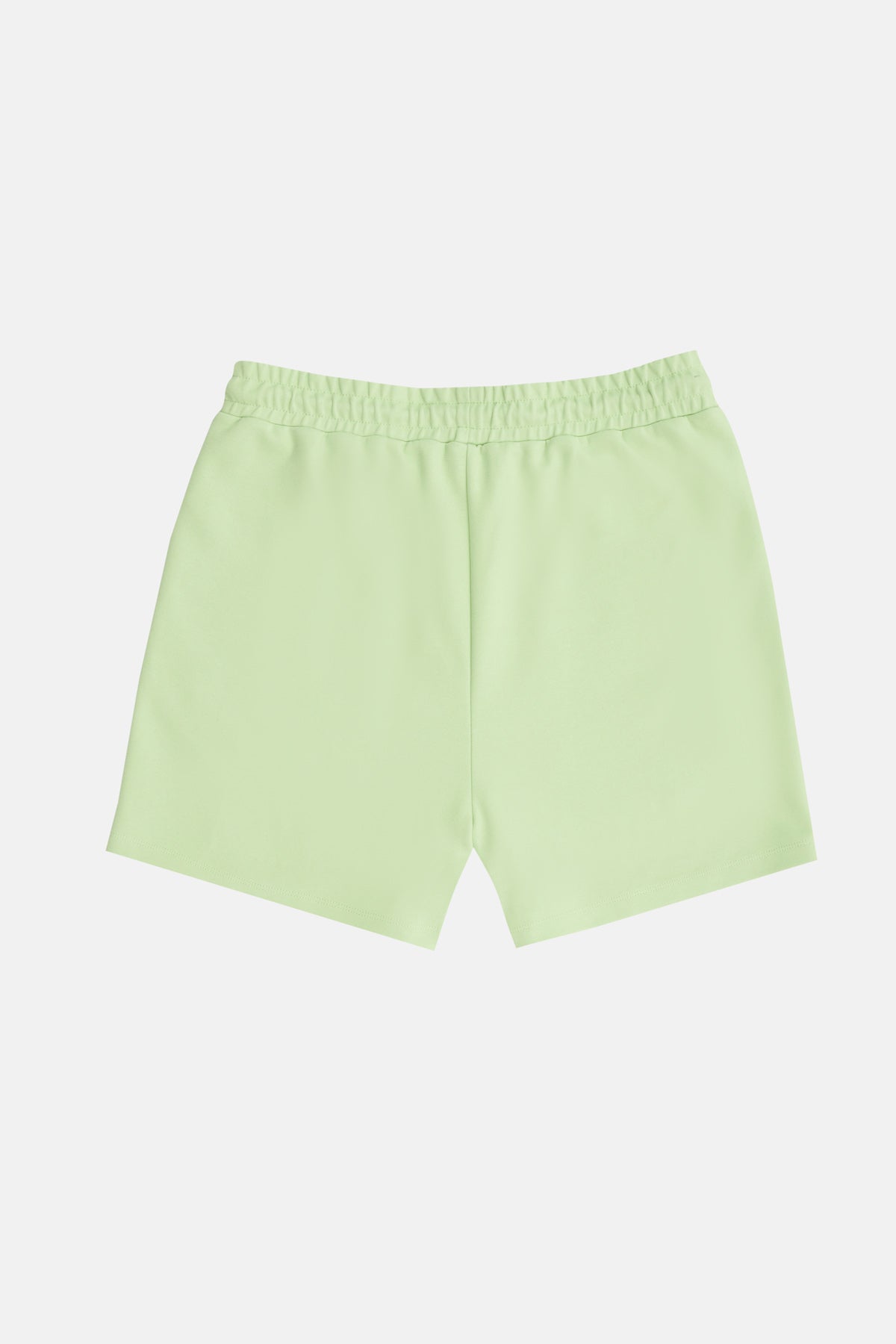 Southern Rockhopper Penguin Men's Shorts - Mint Green
