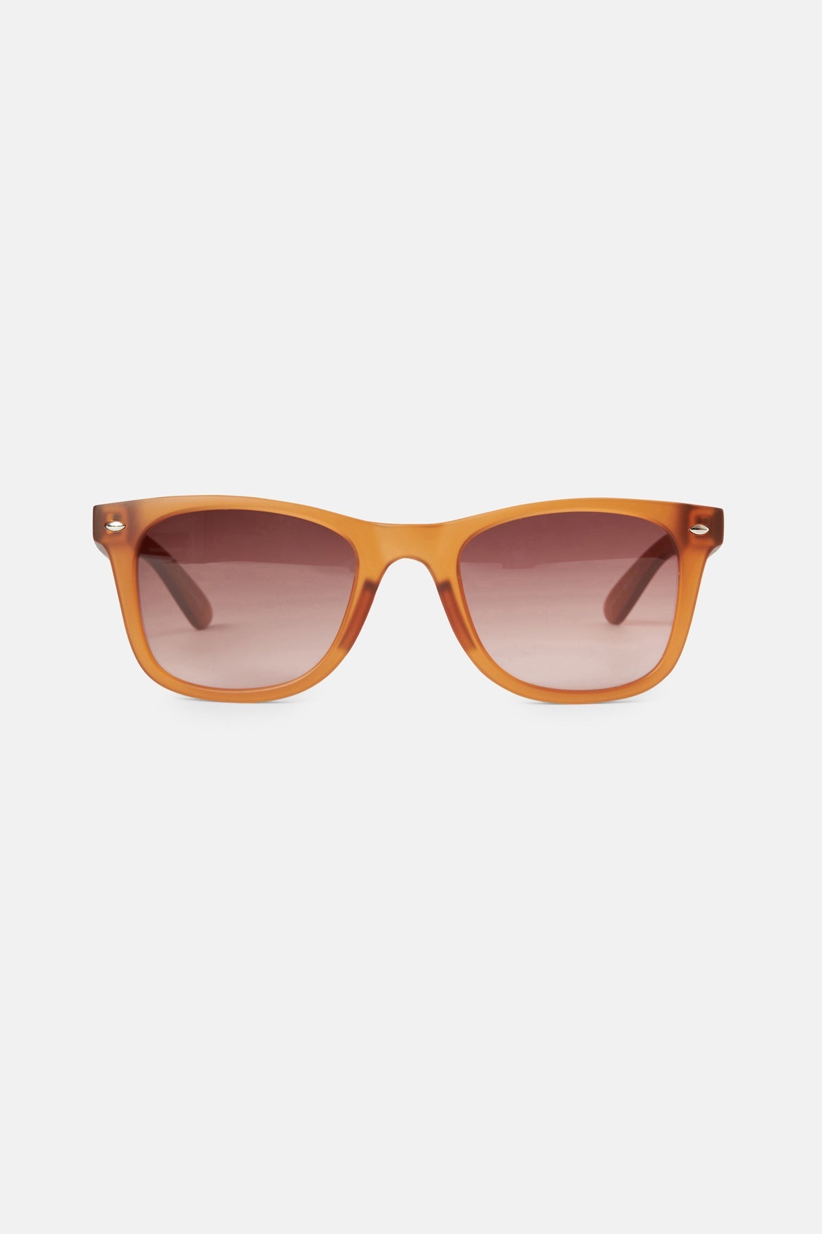 Protector Sunglasses - Brown