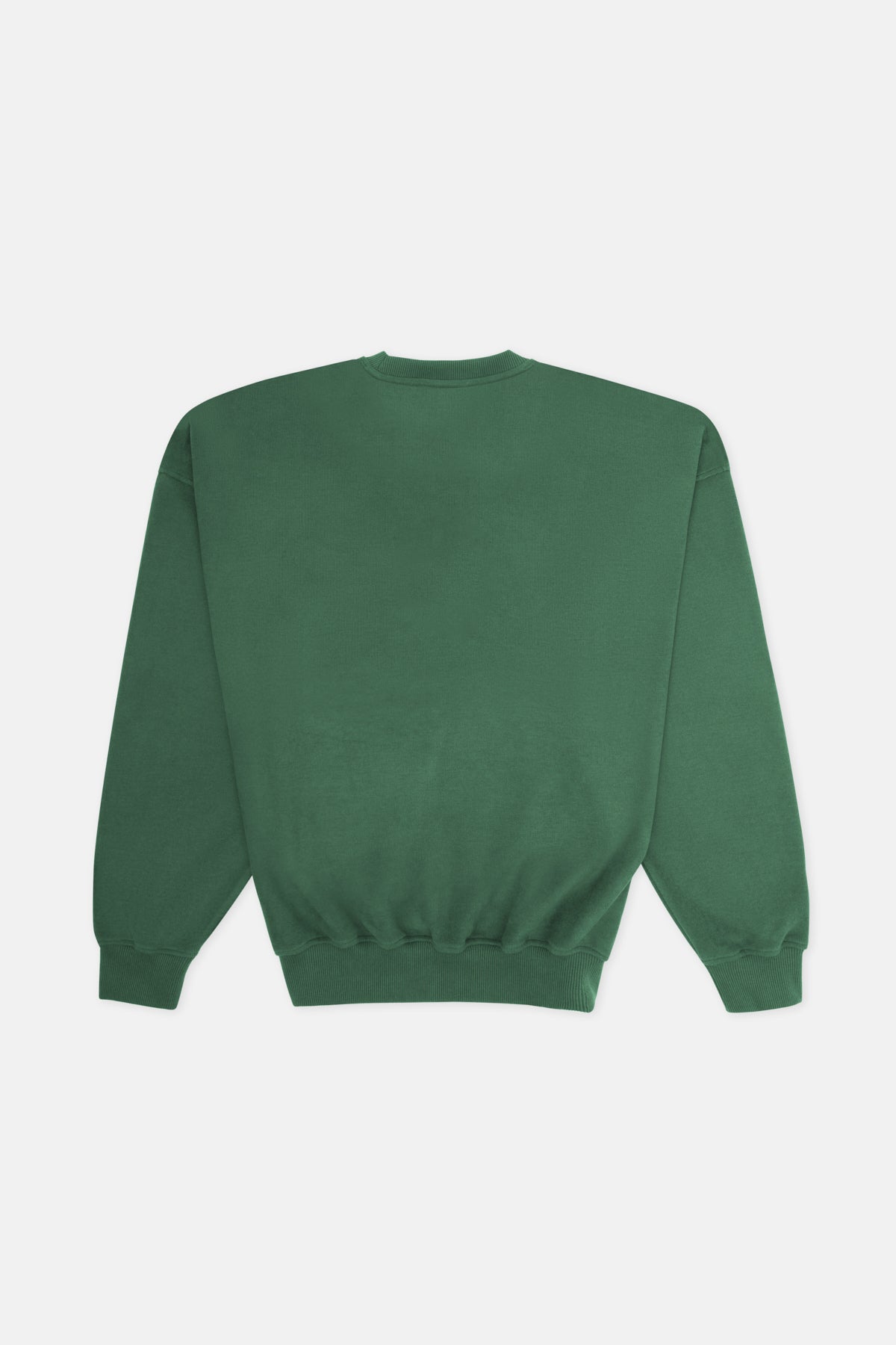 Coral Snake Sweatshirt - Green