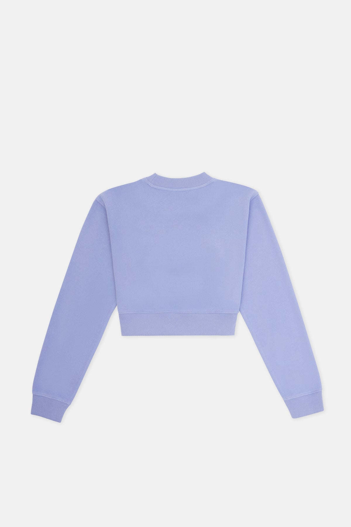 Squirrel Crop Sweatshirt - Lilac
