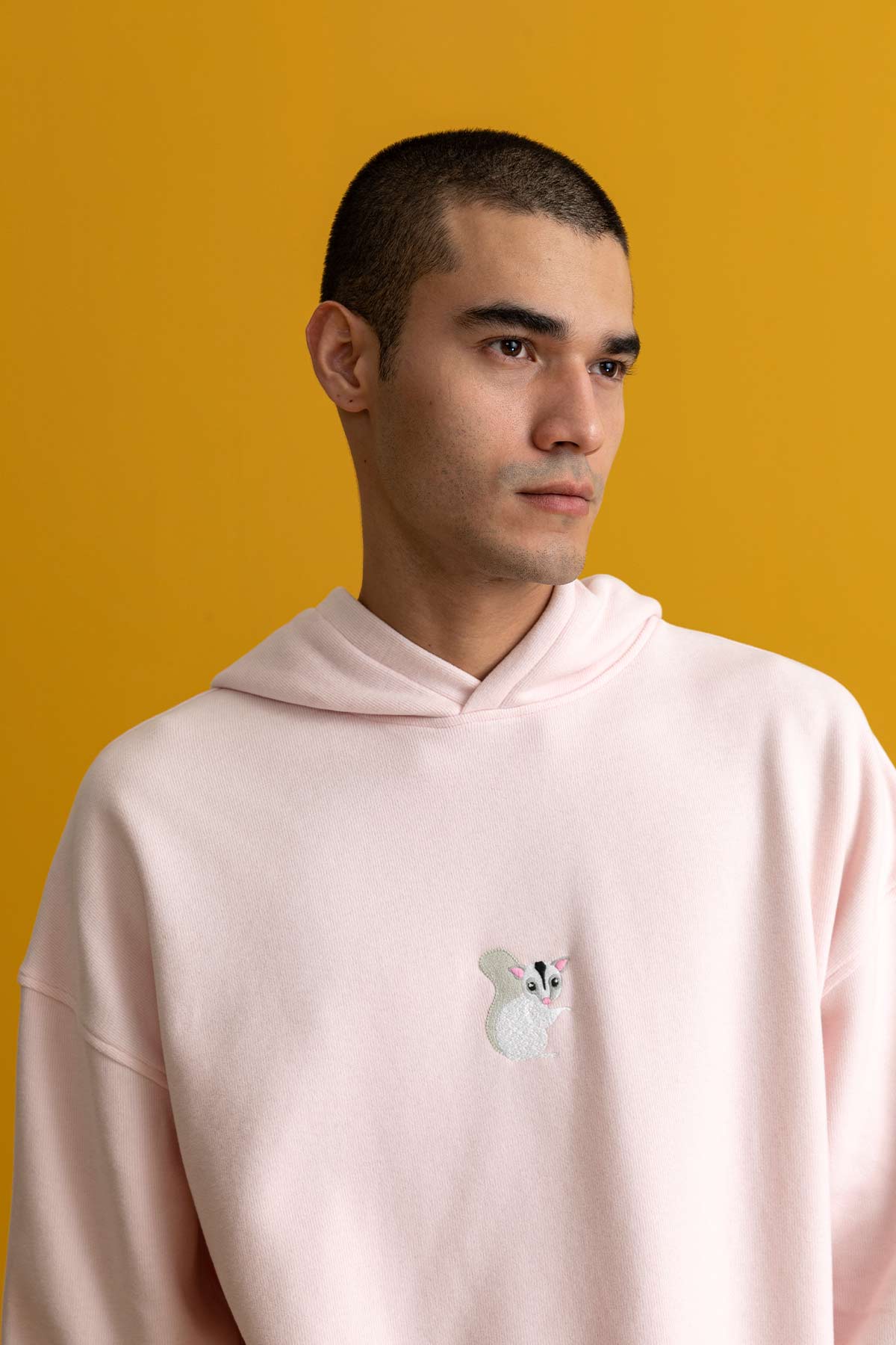Sugar Glider Hoodie - Light Pink