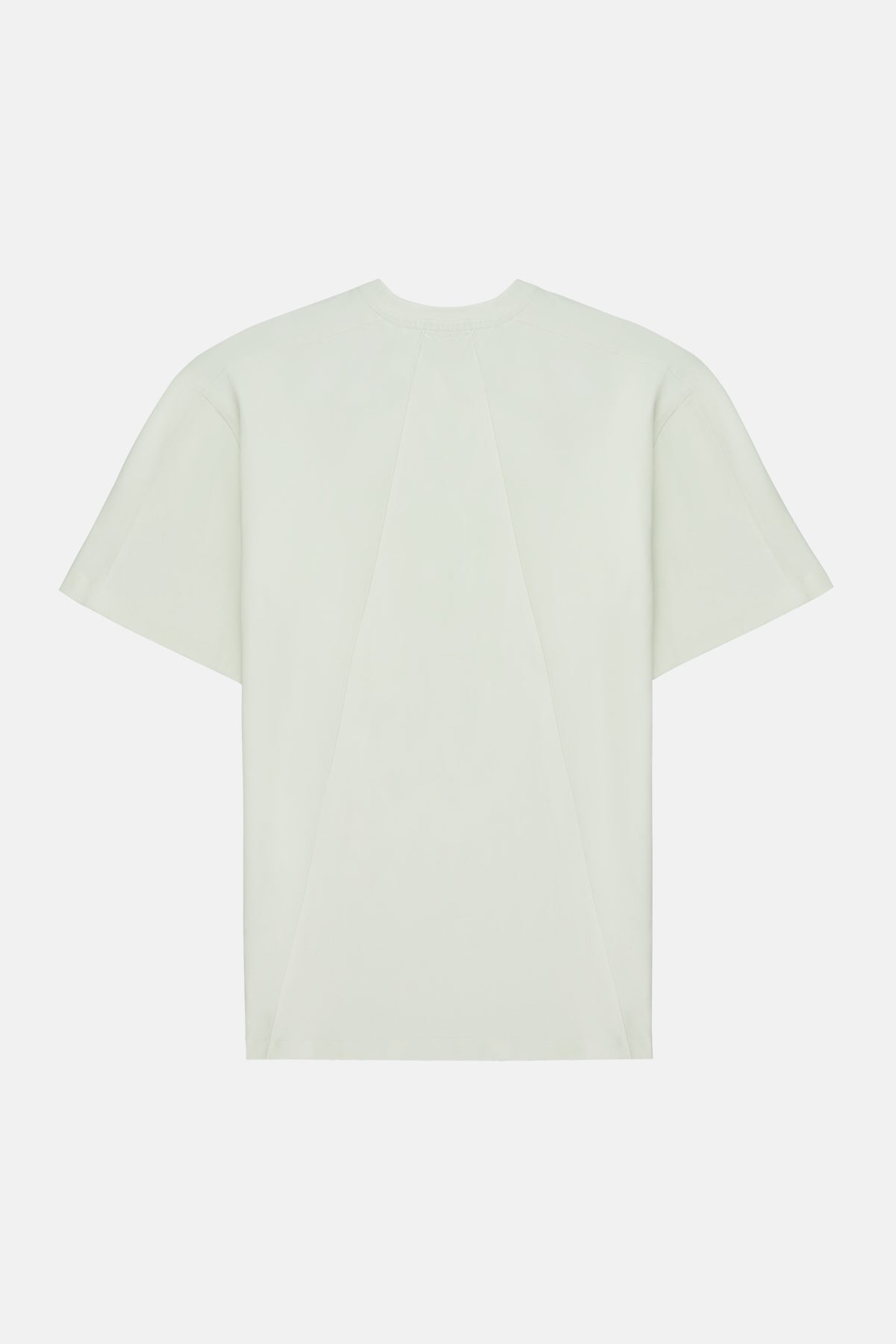 Coral Snake Oversize Premium T-Shirt - Ecru