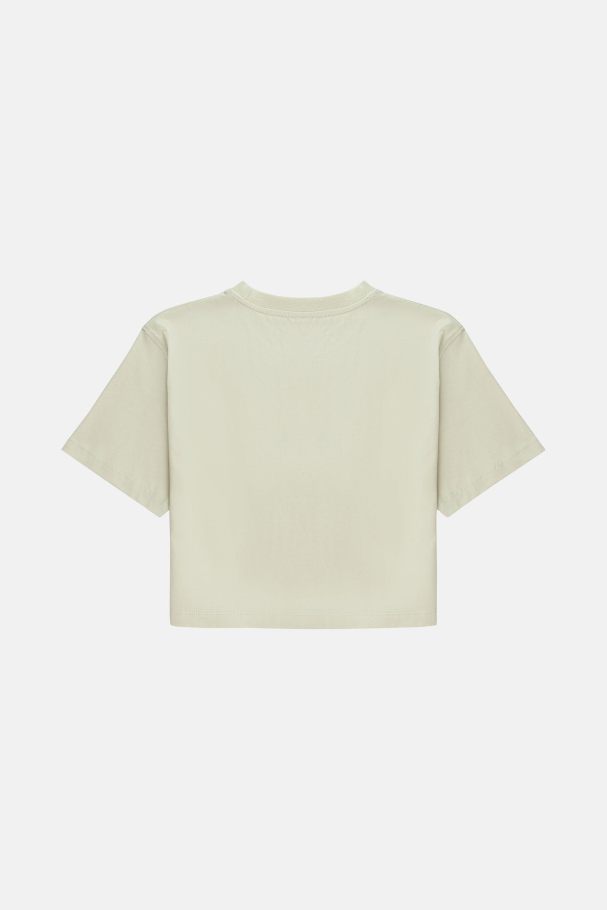 Chi & Chi Crop T-shirt - Mint Green