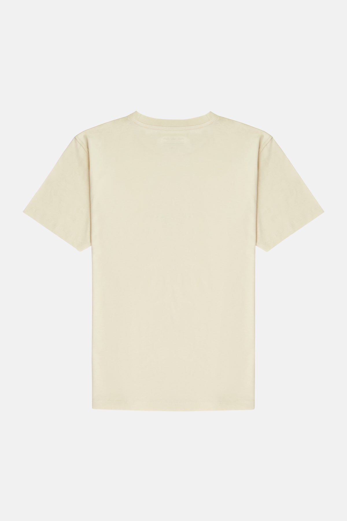 Green Sea Turtle T-shirt - Parchment Beige