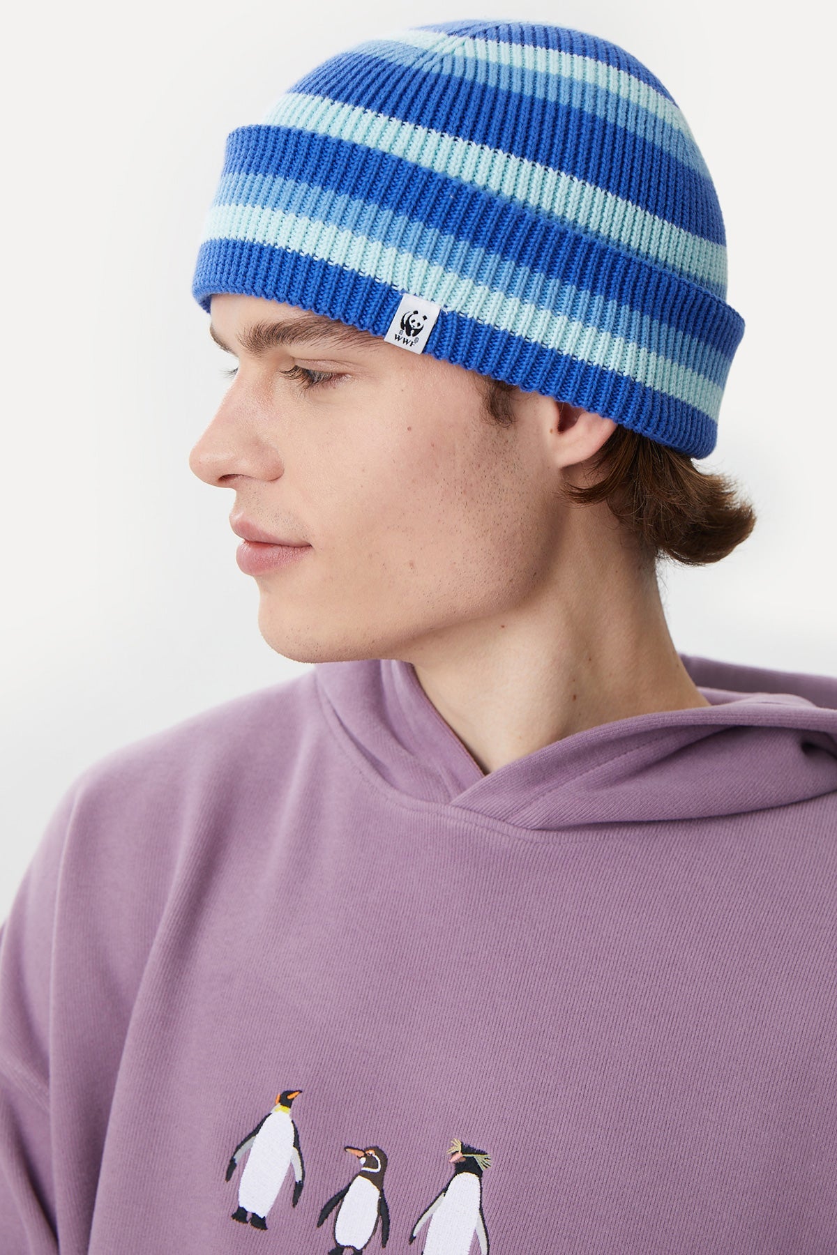 Striped Beanie - Blue