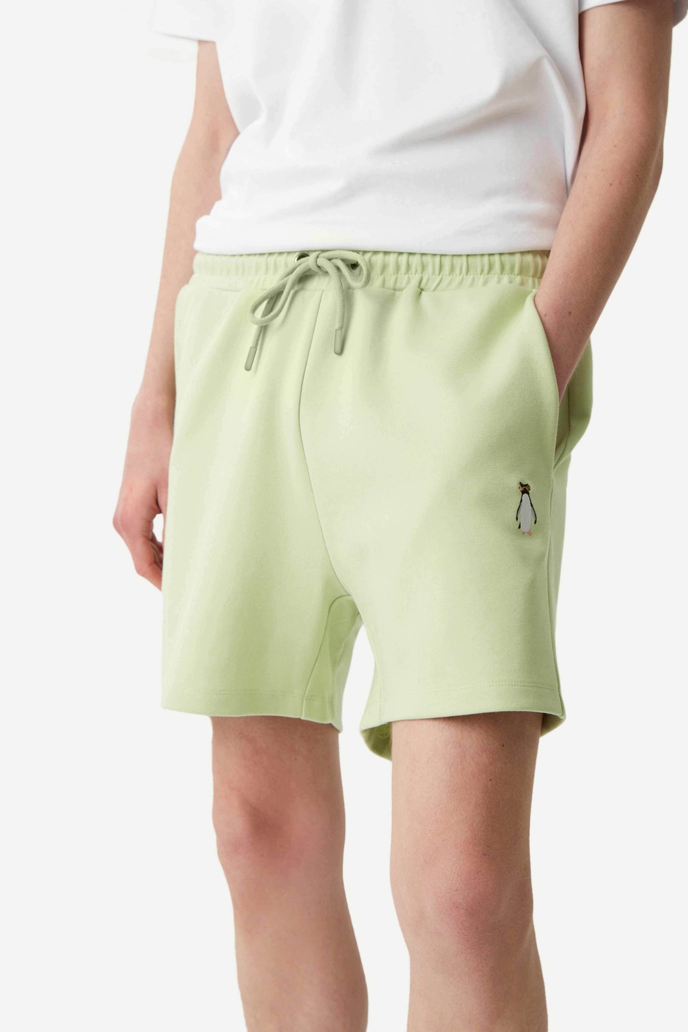 Southern Rockhopper Penguin Men's Shorts - Mint Green