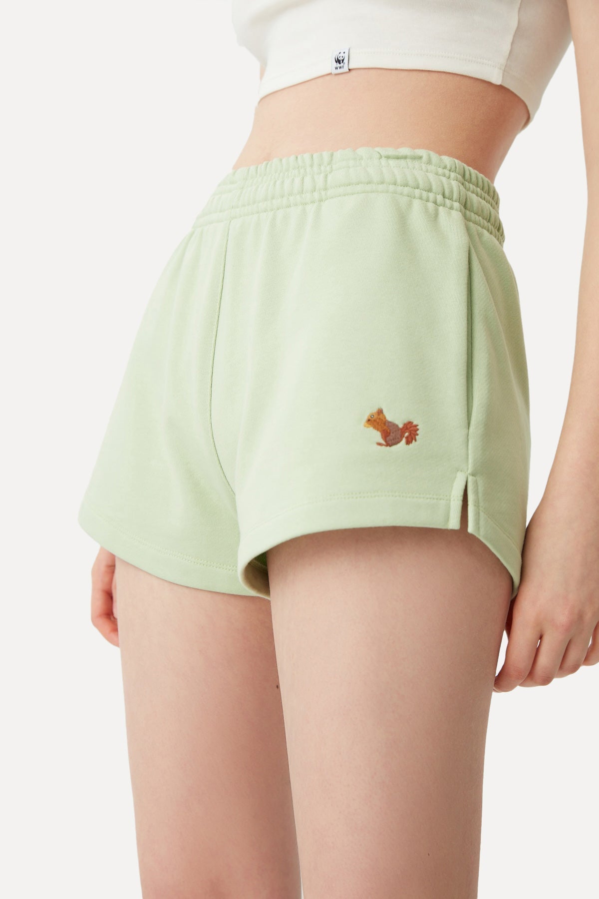 Squirrel Women's Shorts - Mint Green