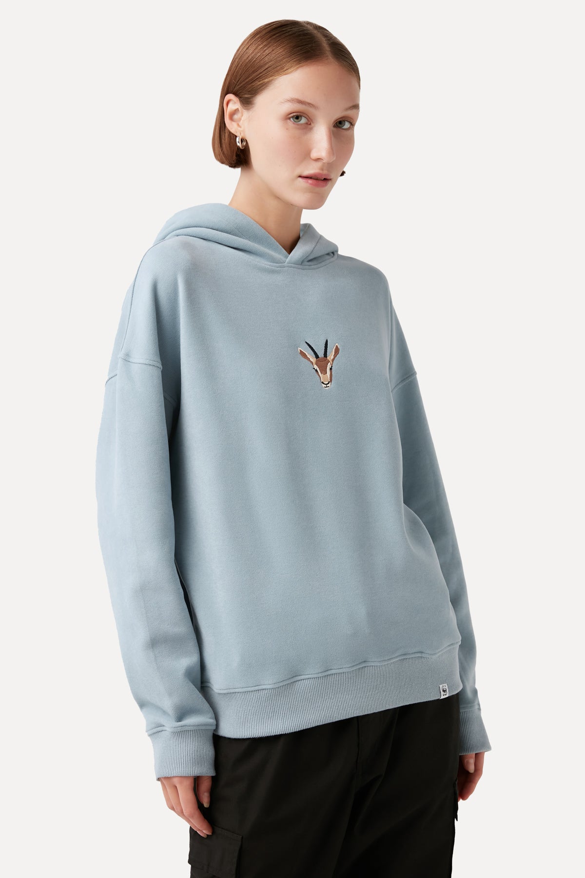 Gazella Hoodie - Ice Blue