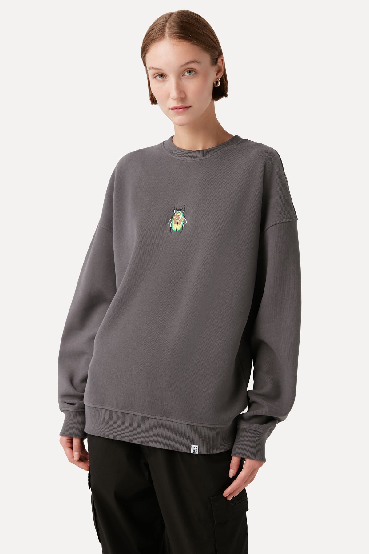 Beetle Sweatshirt - Antrasite