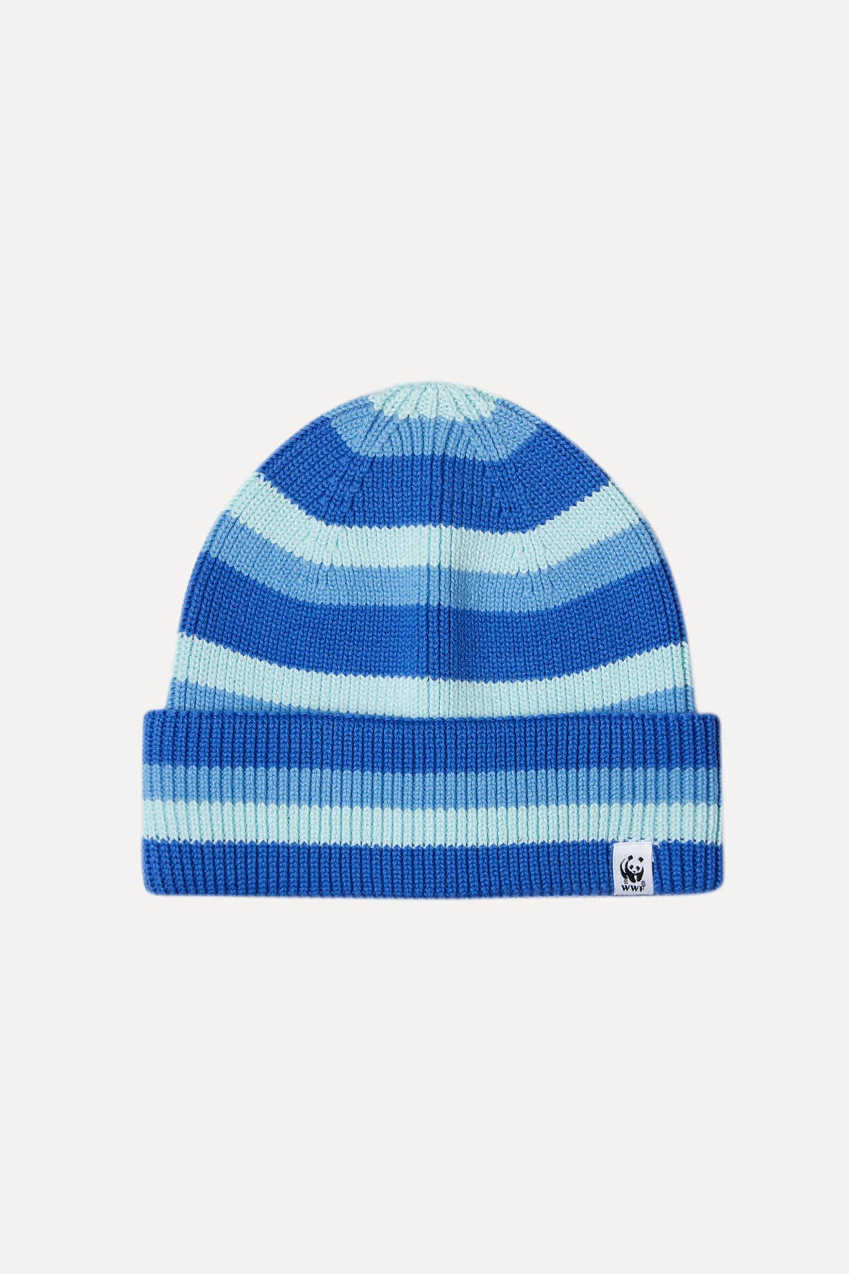 Striped Beanie - Blue