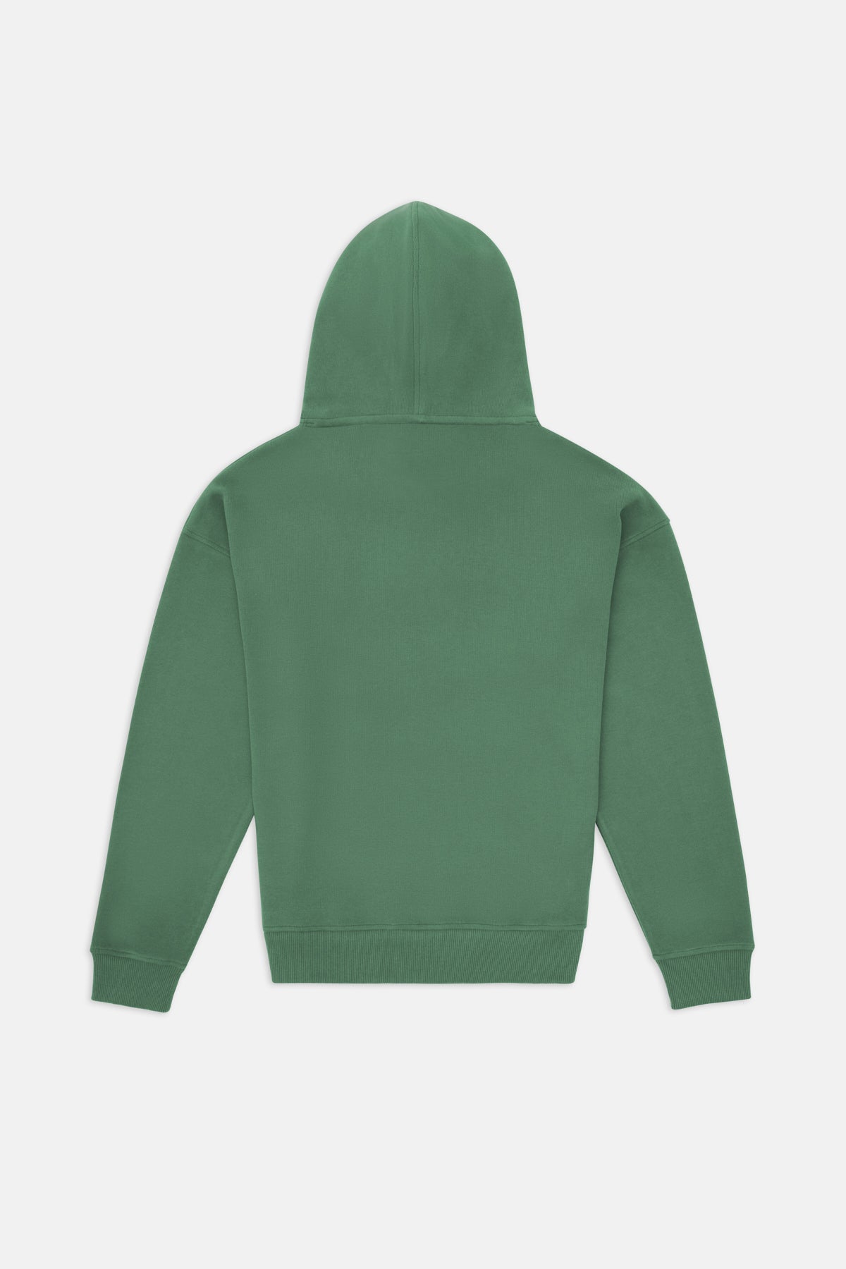 Brown Bear Hoodie - Aqua Green