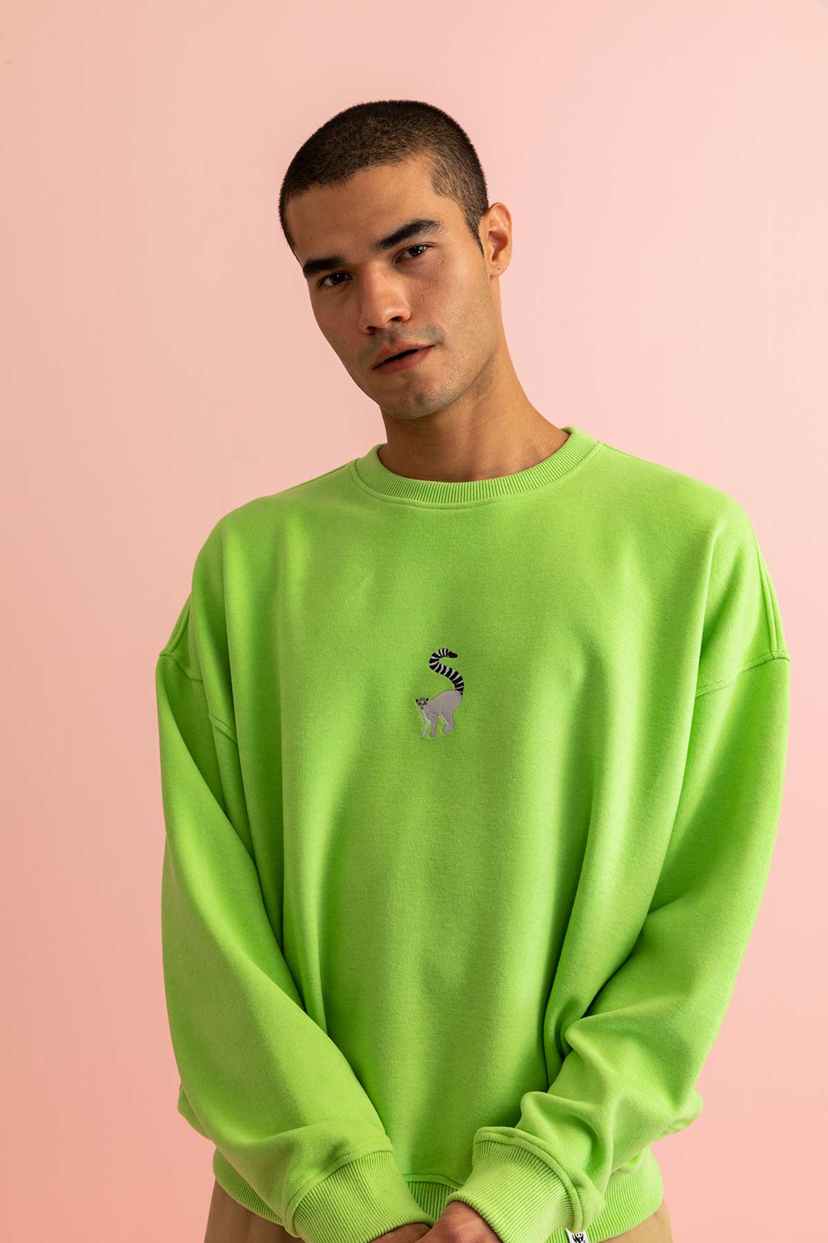Lemur Sweatshirt - Lime